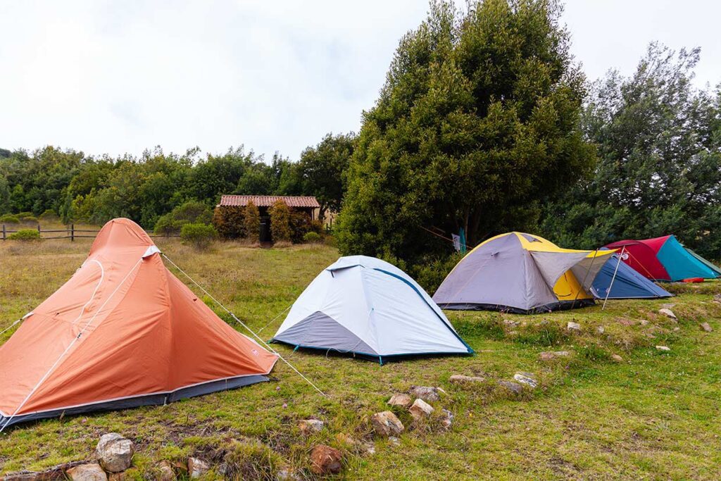 WFR Curso CEMMAA centro de entrenamiento en medicina de montaña y áreas agrestes