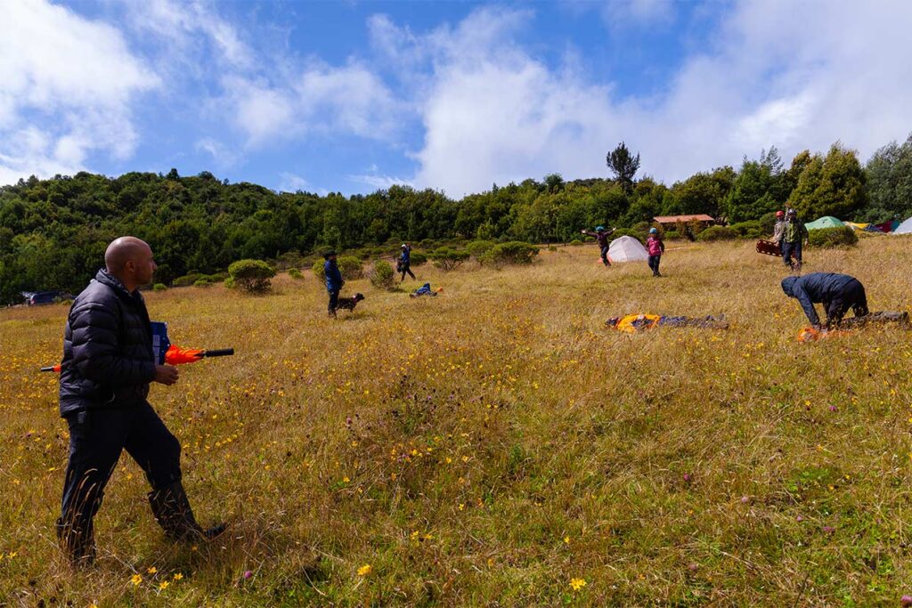 WFR Curso CEMMAA centro de entrenamiento en medicina de montaña y áreas agrestes