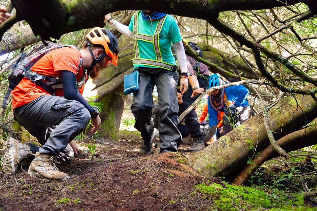 Curso WFR - CEMMAA centro de entrenamiento en medicina de montaña y áreas agrestes