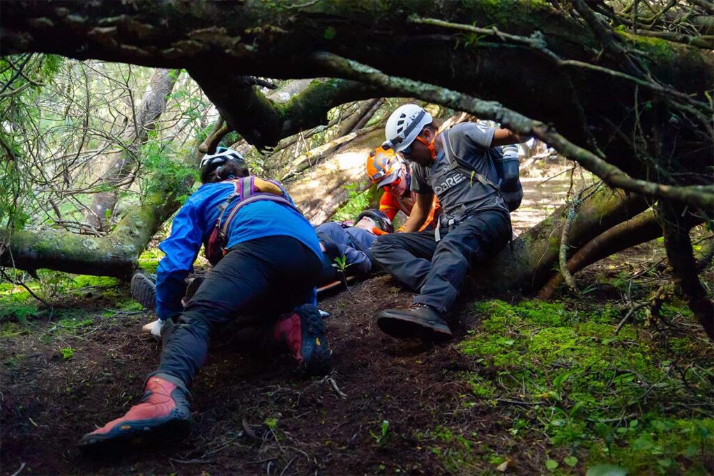 Curso WFR - CEMMAA centro de entrenamiento en medicina de montaña y áreas agrestes